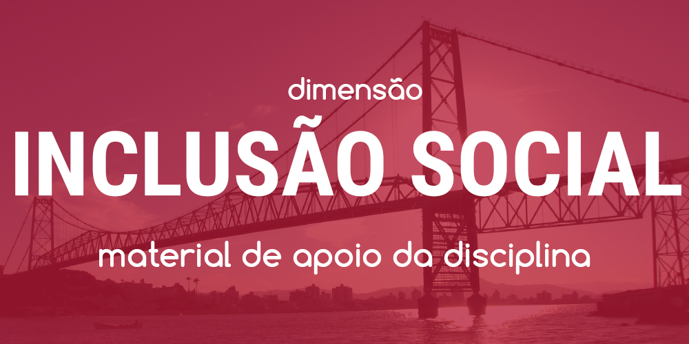 Dimensão Inclusão Social - Workshop CHIS 2017 - Ponte Hercílio Luz