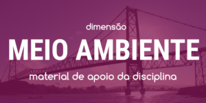 Dimensão Meio Ambiente - Workshop CHIS 2017 - Ponte Hercílio Luz